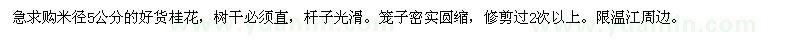 求購米徑5公分的好貨桂花