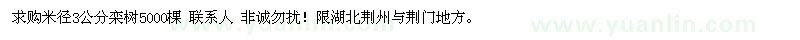 求購米徑3公分欒樹