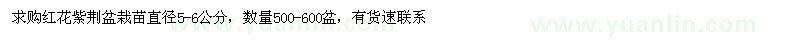 求購紅花紫荊盆栽苗