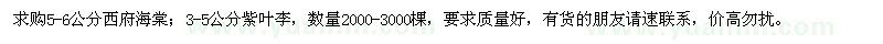 求購(gòu)西府海棠、紫葉李