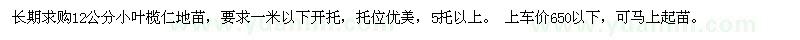 求購12公分小葉欖仁地苗