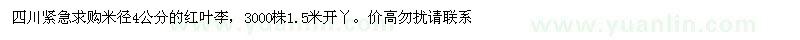 求購米徑4公分的紅葉李
