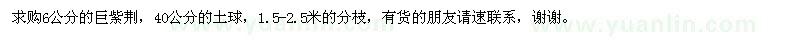 求購(gòu)6公分的巨紫荊