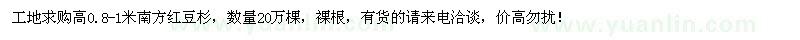 求購高0.8-1米南方紅豆杉20萬棵