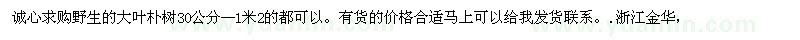 求購野生的大葉樸樹30公分--1米2的都可以 