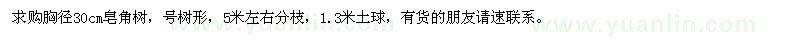 求購(gòu)胸徑30cm皂角樹(shù)