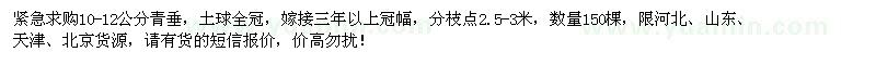 求購10-12公分青垂150棵