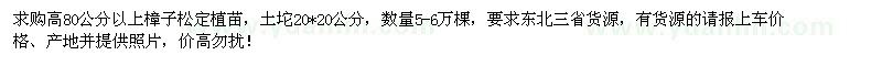 求購高80公分以上樟子松5-6萬棵