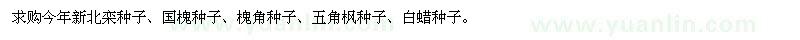 求購北欒種子、國槐種子、槐角、五角楓種子、白蠟種子