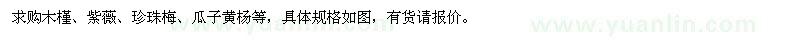 求購木槿,紫薇,珍珠梅,瓜子黃楊等