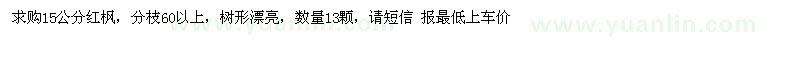 求購求購15公分紅楓