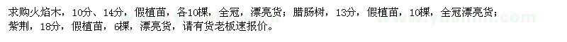 求購(gòu)火焰木,臘腸樹,紫荊