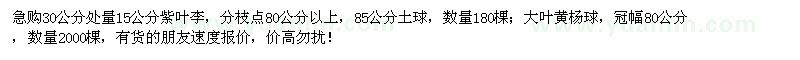 求購(gòu)紫葉李、大葉黃楊球