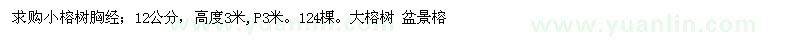 求購榕樹 盆景榕