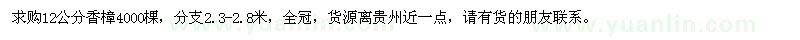 求購12公分香樟4000棵