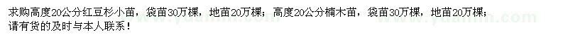 求購高度20公分紅豆杉、楠木小苗