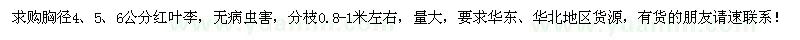 求購(gòu)大量胸徑4、5、6公分紅葉李