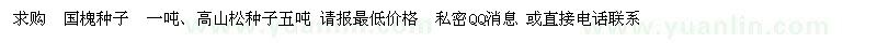 求購(gòu)國(guó)槐種子、高山松種子