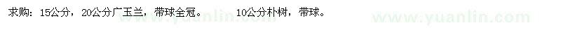 求購(gòu)15公分，20公分廣玉蘭