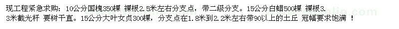求購(gòu)國(guó)槐 白蠟 大葉女貞 