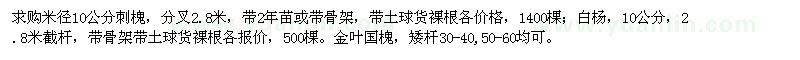 求購刺槐,白楊,金葉國槐
