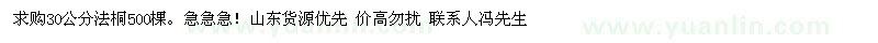 求購30公分法桐500棵