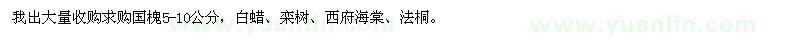 求購國槐5-10公分、白蠟、欒樹、西府海棠、法桐