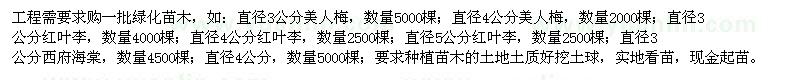 求購4公分西府海棠、美人梅、紅葉李