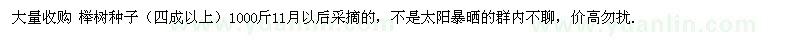 求購(gòu)櫸樹(shù)種子（四成以上）1000斤 