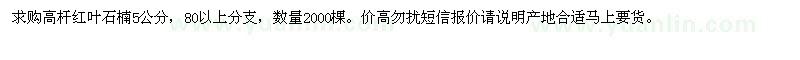 求購高桿紅葉石楠5公分
