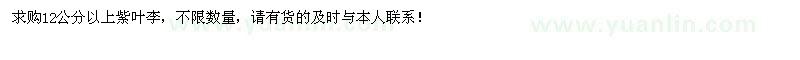 求購大量12公分以上紫葉李