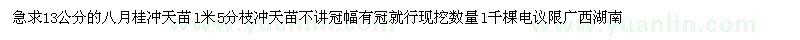 求購(gòu)13公分的八月桂沖天苗l米5分枝沖天苗 
