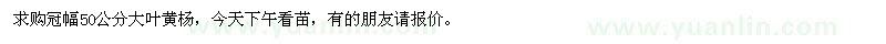 求購(gòu)冠幅50公分大葉黃楊
