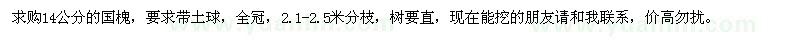 求購14公分的國槐