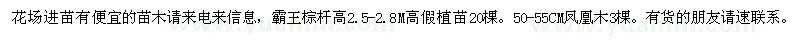 求購霸王棕,鳳凰木