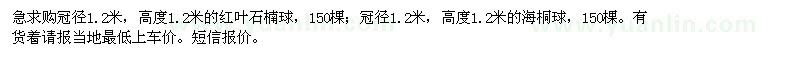 求購紅葉石楠球，海桐球 