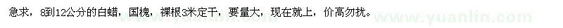 求購8到12公分的白蠟，國槐 