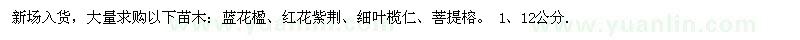 求購(gòu)藍(lán)花楹、紅花紫荊、細(xì)葉欖仁、菩提榕