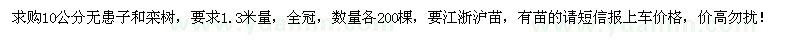 求購1.3米量10公分無患子、欒樹各200棵