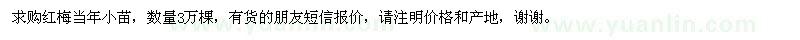 求購紅梅當年苗3萬棵