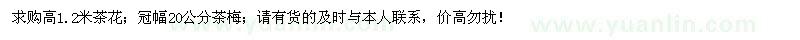 求購茶花、茶梅