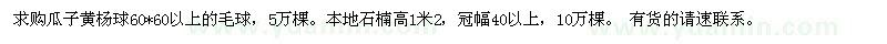 求購(gòu)瓜子黃楊球60*60以上的毛球
