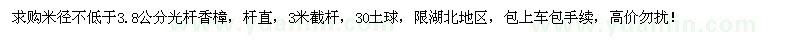 求購米徑不低于3.8公分光桿香樟