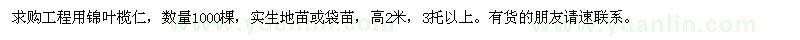 求購2米高錦葉欖仁