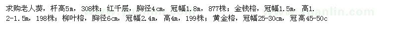 求購老人葵,紅千層,金錢榕,柳葉榕,黃金榕