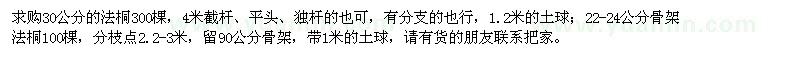 求購法桐400棵