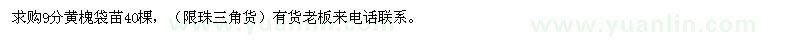 求購9分黃槐袋苗40棵