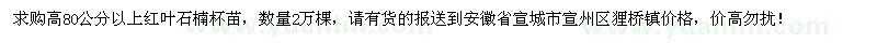 求購高80公分以上紅葉石楠杯苗2萬棵