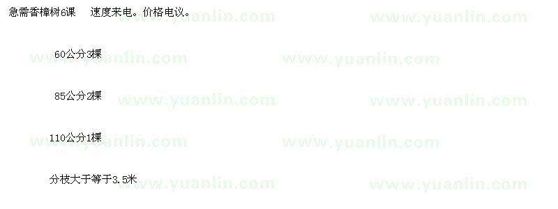 求購(gòu)大于等于3.5米分枝香樟