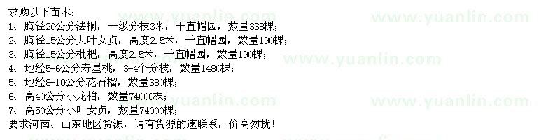 求購法桐、大葉女貞、枇杷、壽星桃等苗木